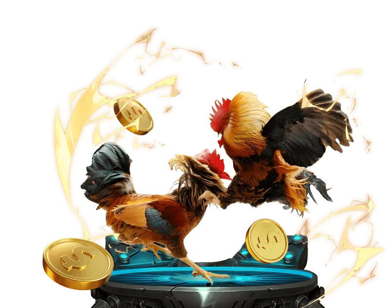 Giải quyết tranh chấp và khiếu nại